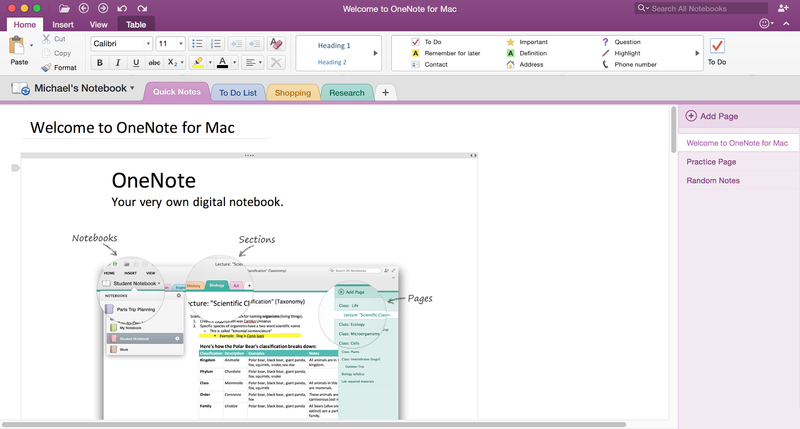 office onenote for mac
